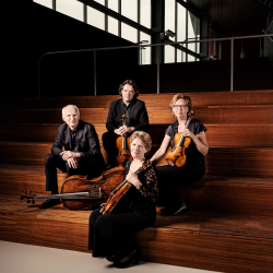 Utrecht String Quartet 2014-2 photo Allard Willemse